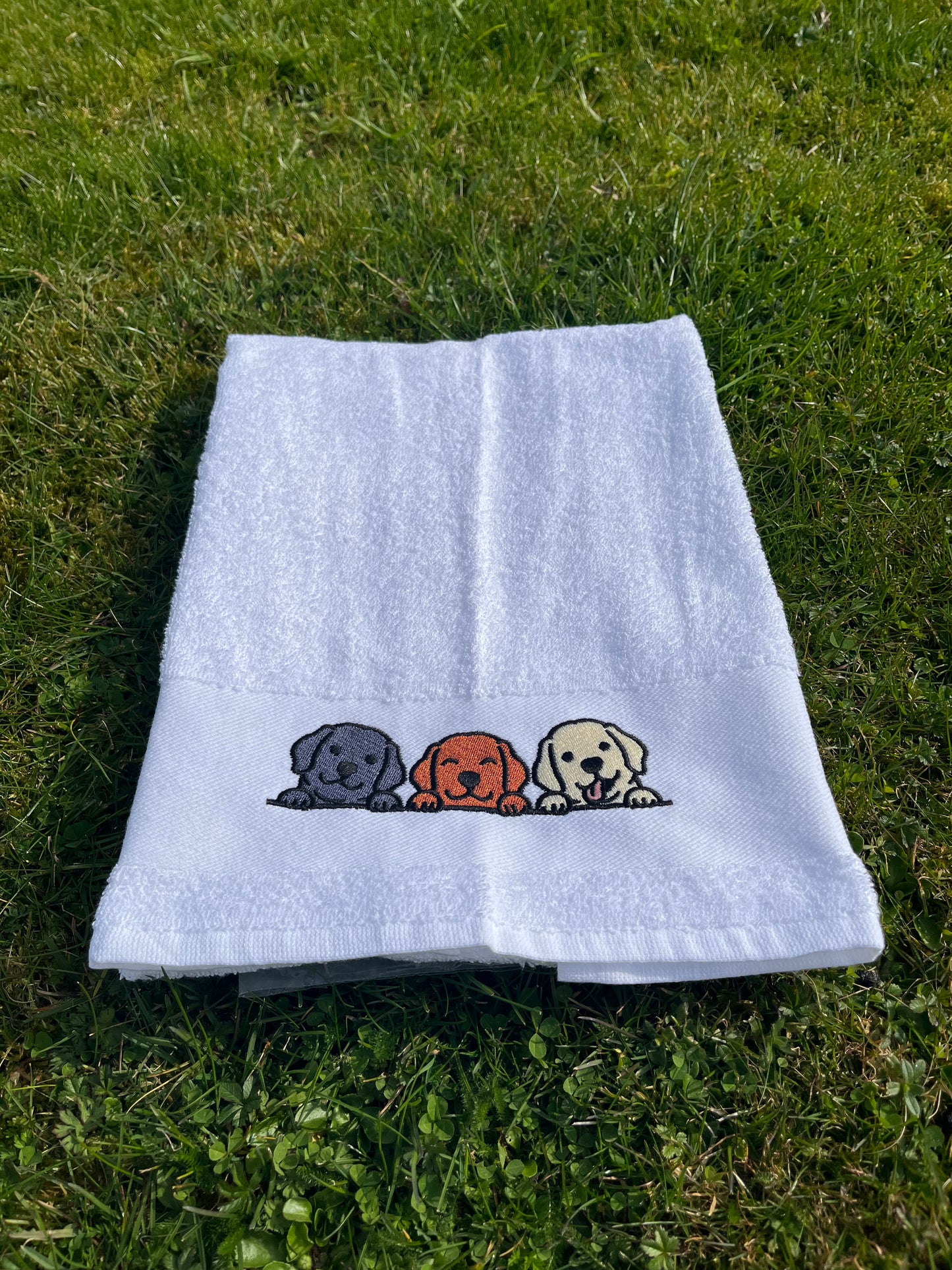 Labrador