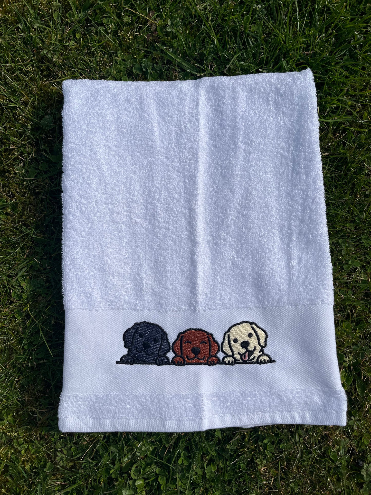 Labrador