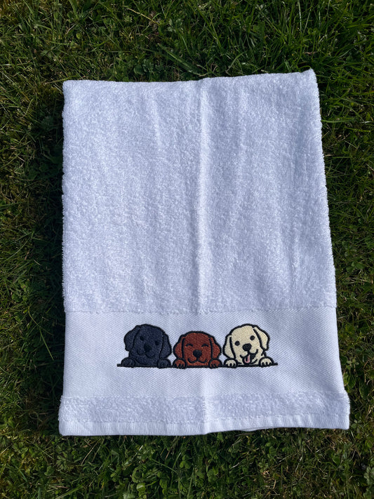 Labrador
